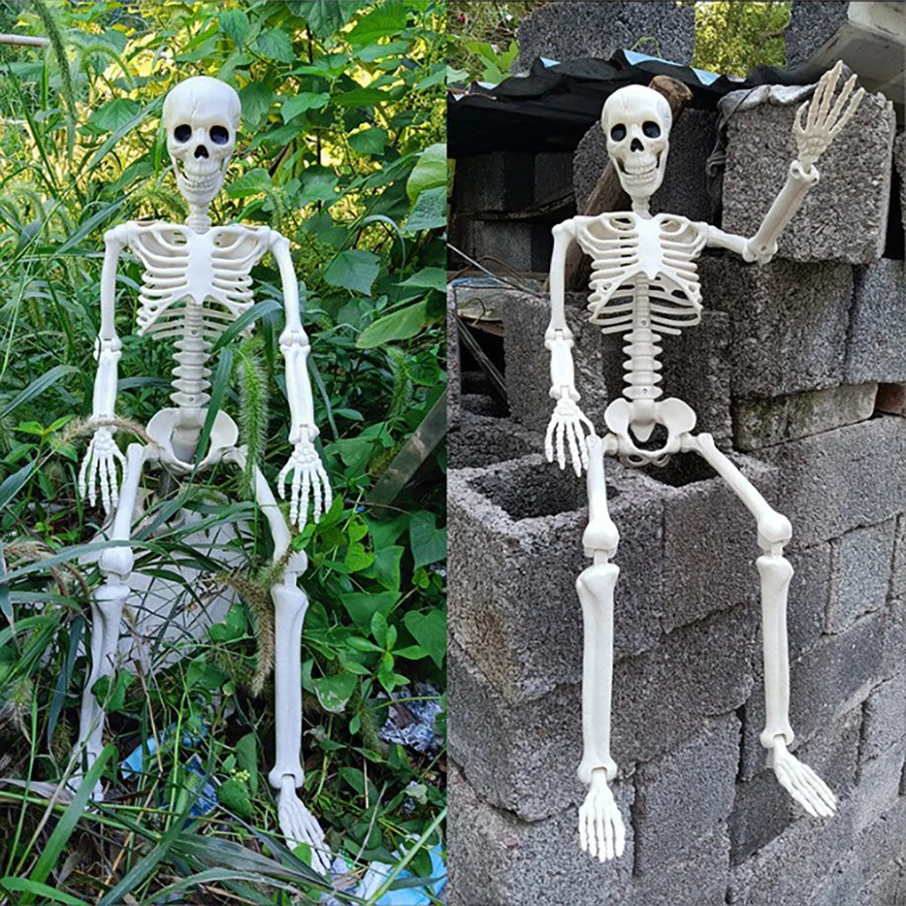 Fred (Threat) the Flexi Skeleton